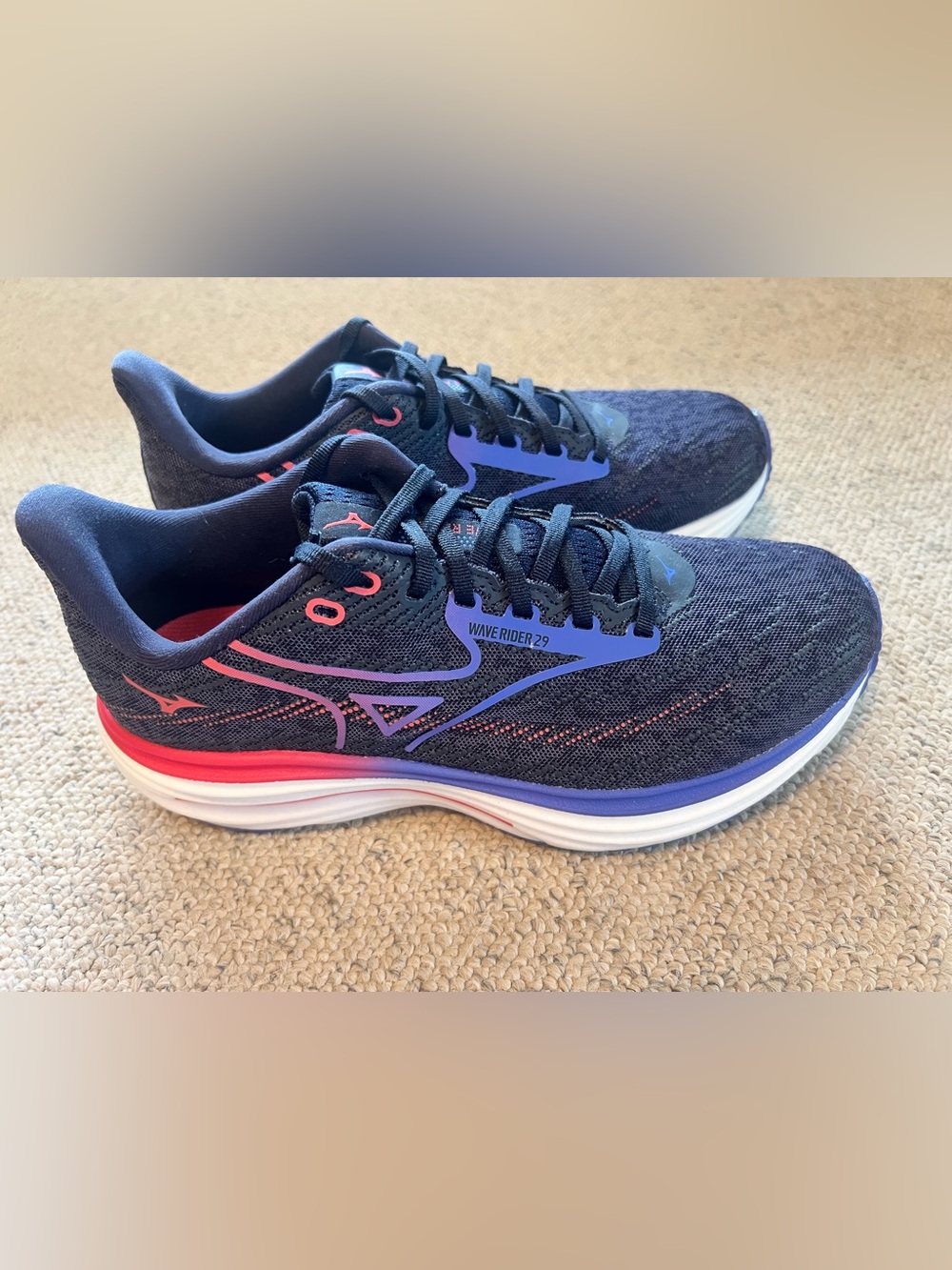 Women’s 10 Mizuno Wave Rider running shoes